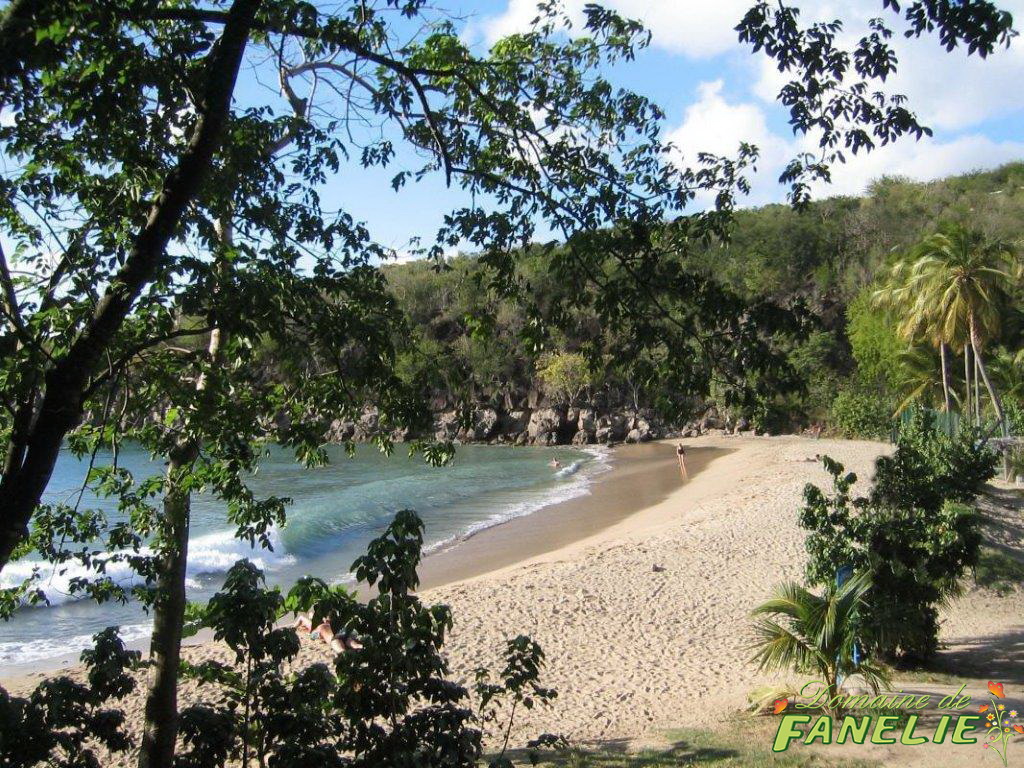 FANELIE Location Guadeloupe