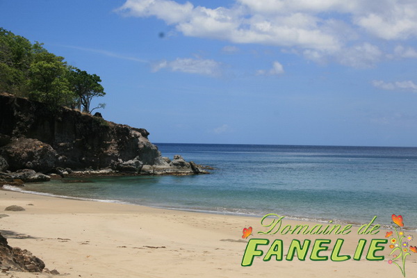FANELIE Location Guadeloupe