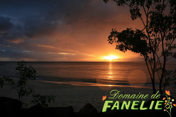FANELIE Location Guadeloupe