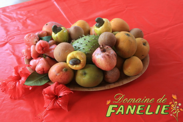 FANELIE Location Guadeloupe