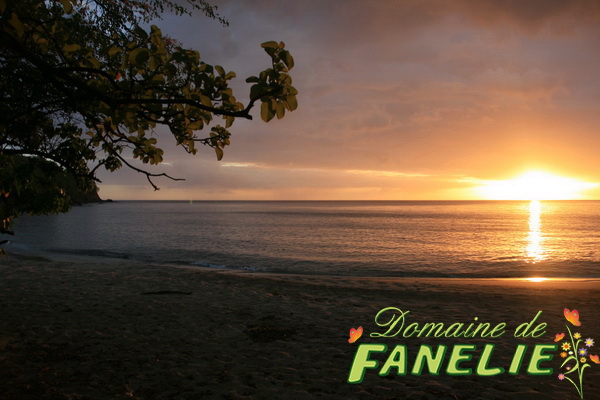 FANELIE Location Guadeloupe