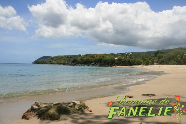 FANELIE Location Guadeloupe
