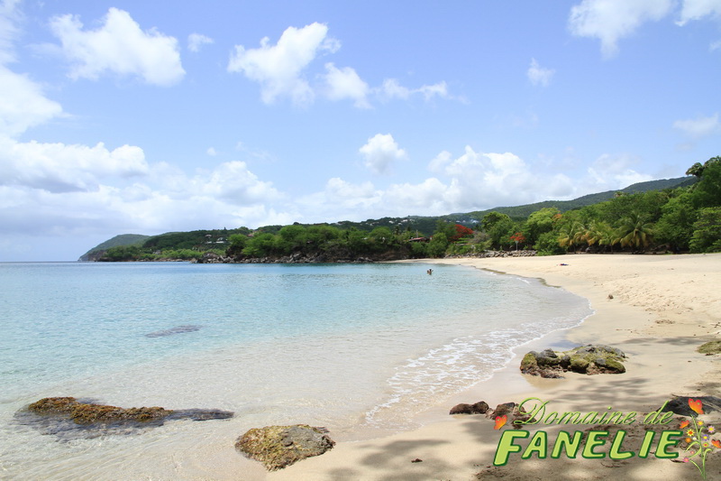 FANELIE Location Guadeloupe