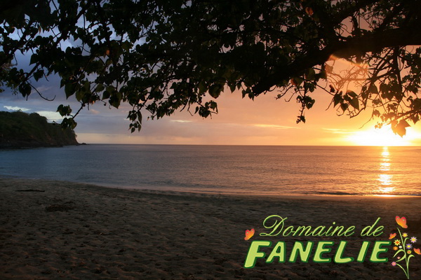 FANELIE Location Guadeloupe