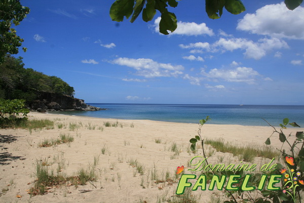 FANELIE Location Guadeloupe