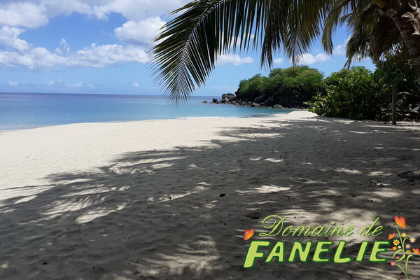 FANELIE Location Guadeloupe