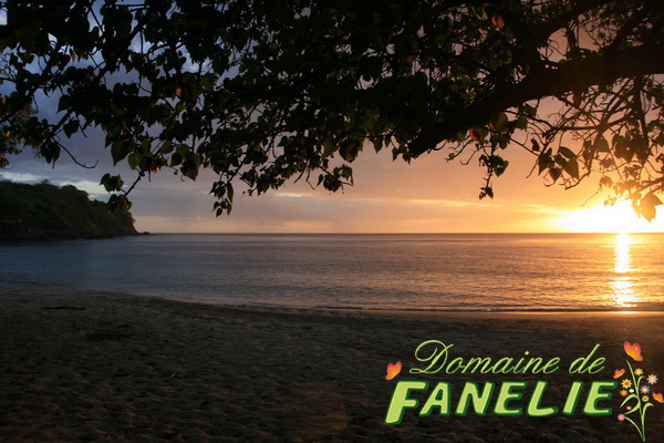 FANELIE Location Guadeloupe