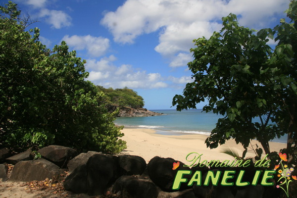 FANELIE Location Guadeloupe