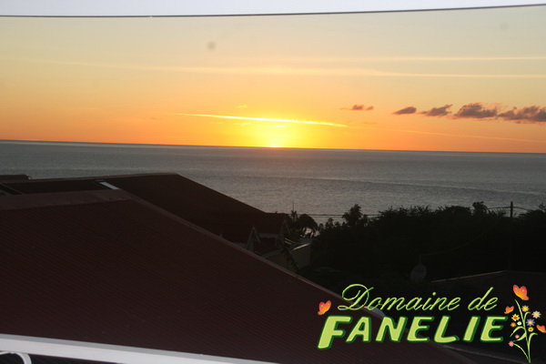 FANELIE Location Guadeloupe